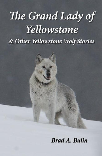 The Grand Lady of Yellowstone