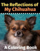 The Reflections of My Chihuahua