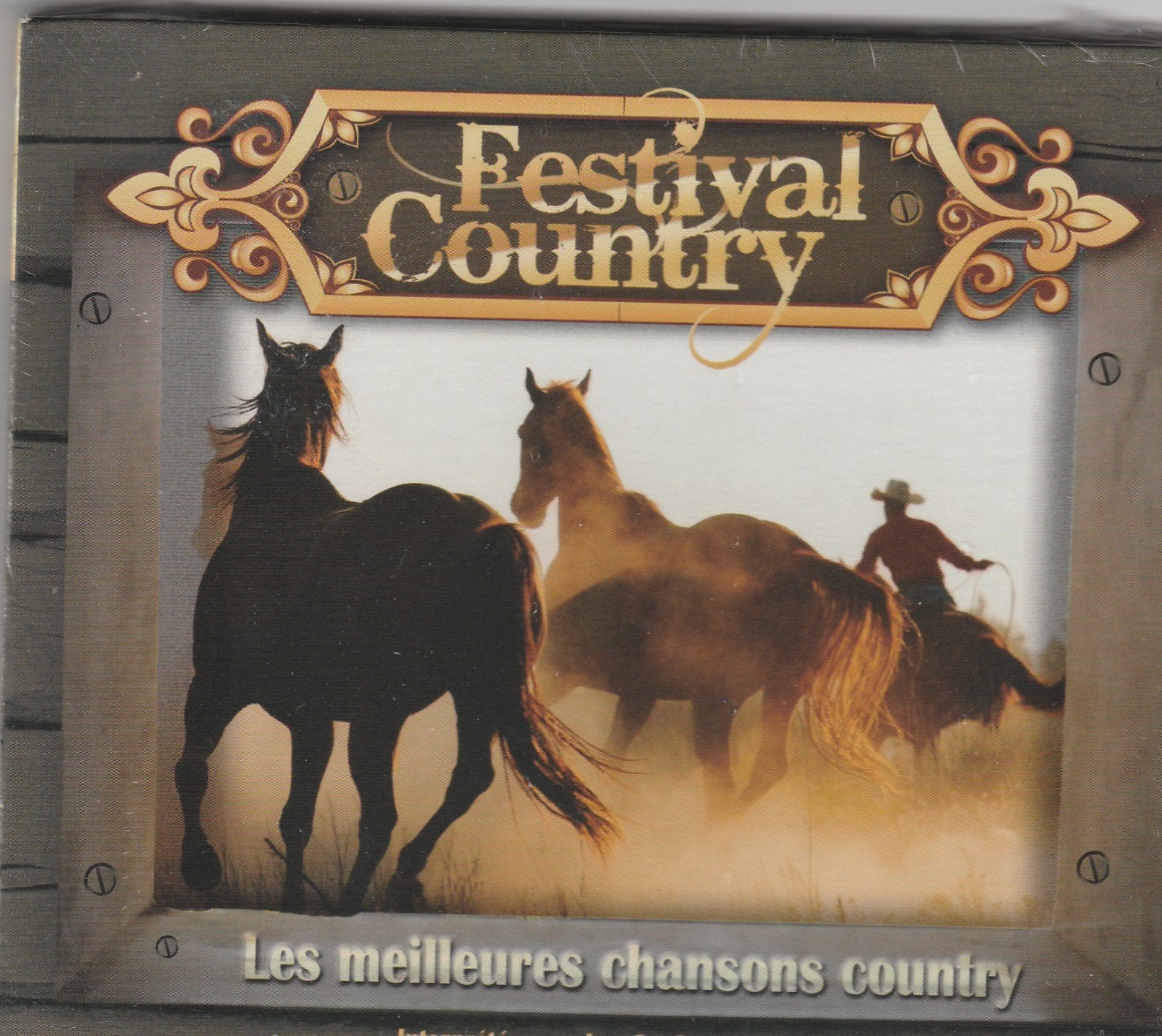 LES MEILLEURS CHANSONS COUNTRY