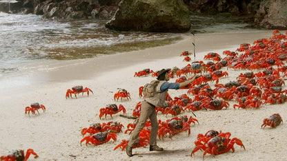 Andy's Safari Adventures: Hermit Crabs & other stories