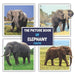 The Picture Book of Elephant Facts: A Fun and Informative Photos with Fun Facts Book for Kids (A Colorful Picture Book for Kids