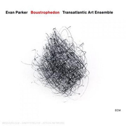 Boustrophedon (Transatlantic Art Ensemble)