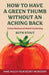 How to have a green thumb without an aching back