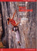 Climbing in Brescia