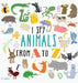 I Spy Animals from A to Z
