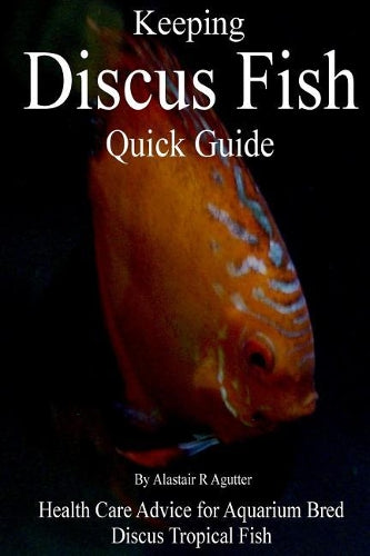 Keeping Discus Fish Quick Guide