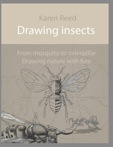 Drawing insects