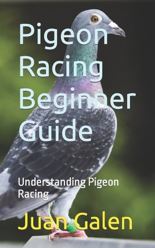 Pigeon Racing Beginner Guide