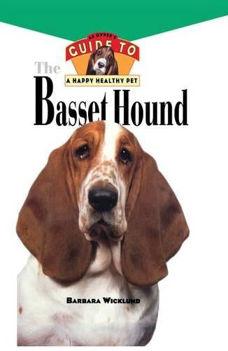 Basset Hound