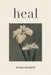 Heal