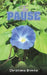 The Pause