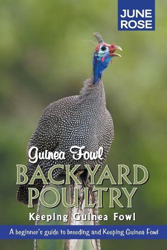Guinea Fowl, Backyard Poultry