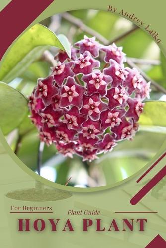Hoya plant
