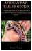African Fat-Tailed Gecko