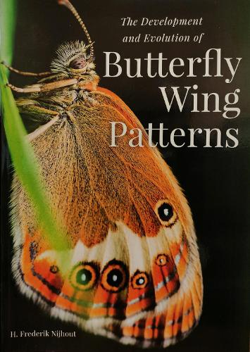 The Development and Evolution of Butterfly Wing Patterns