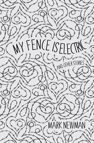 My Fence is Electric