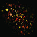 A Hundred Million Suns