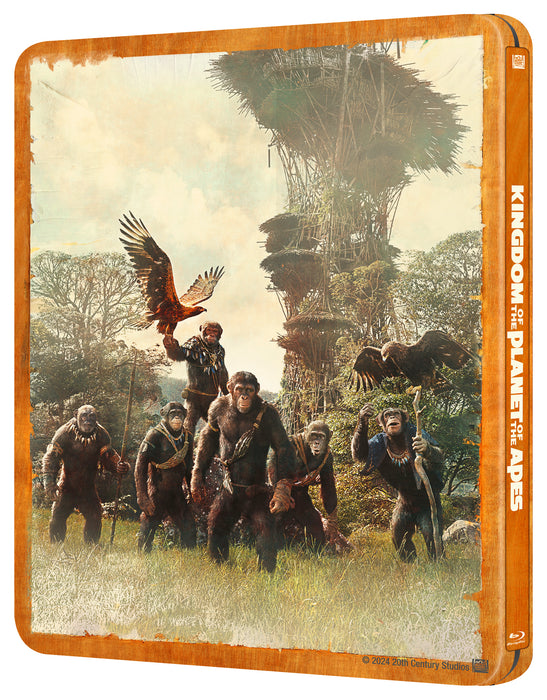 The Kingdom of The Planet Of The Apes Steelbook