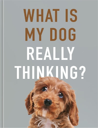 What is My Dog Really Thinking?