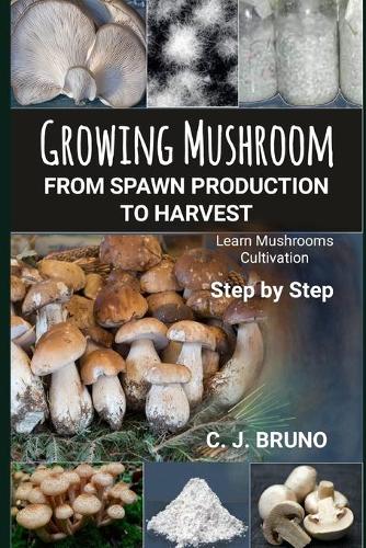 Growing Mushroom From Spawn Production to Harvest
