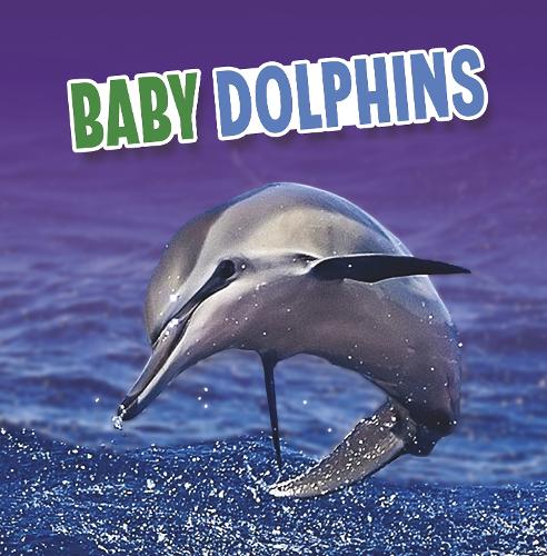 Baby Dolphins (Baby Animals