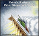 Peter's Railway Rain, Steam and Speed