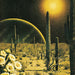 Born to Wake Up (Lp