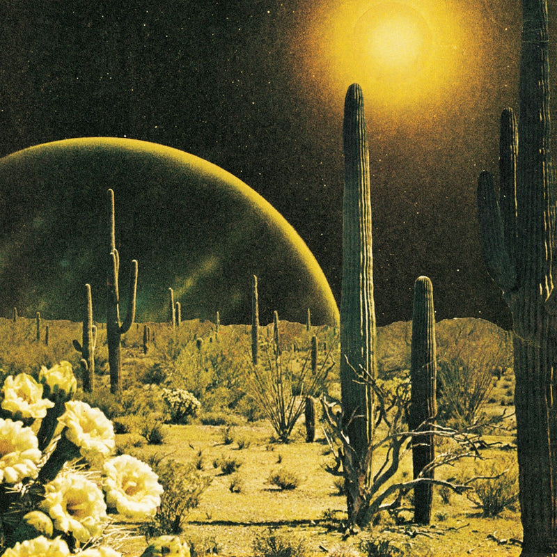 Born to Wake Up (Lp