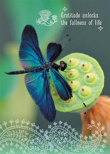 Gratitude Dragonfly