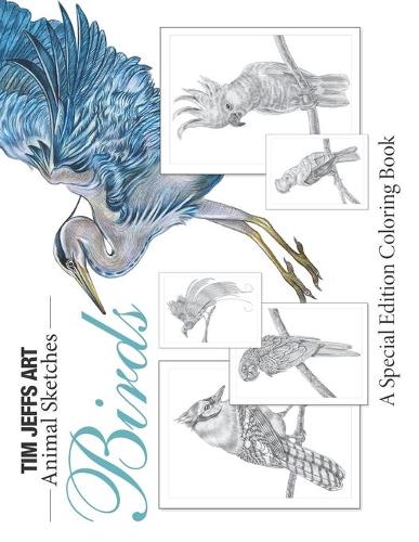 Birds: A Special Edition Coloring Book (Animal Sketches