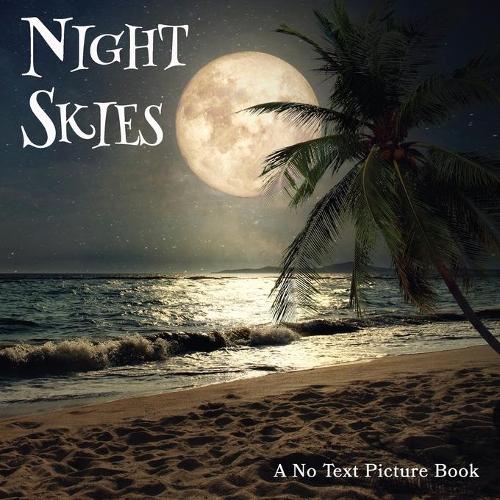 Night Skies, A No Text Picture Book
