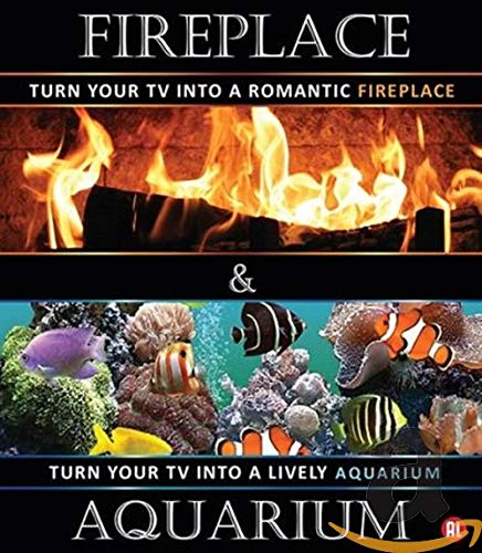 Fireplace & Aquarium