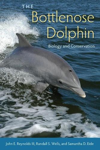 The Bottlenose Dolphin