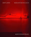 Dan Flavin: Dedications in Lights (Bilingual edition)