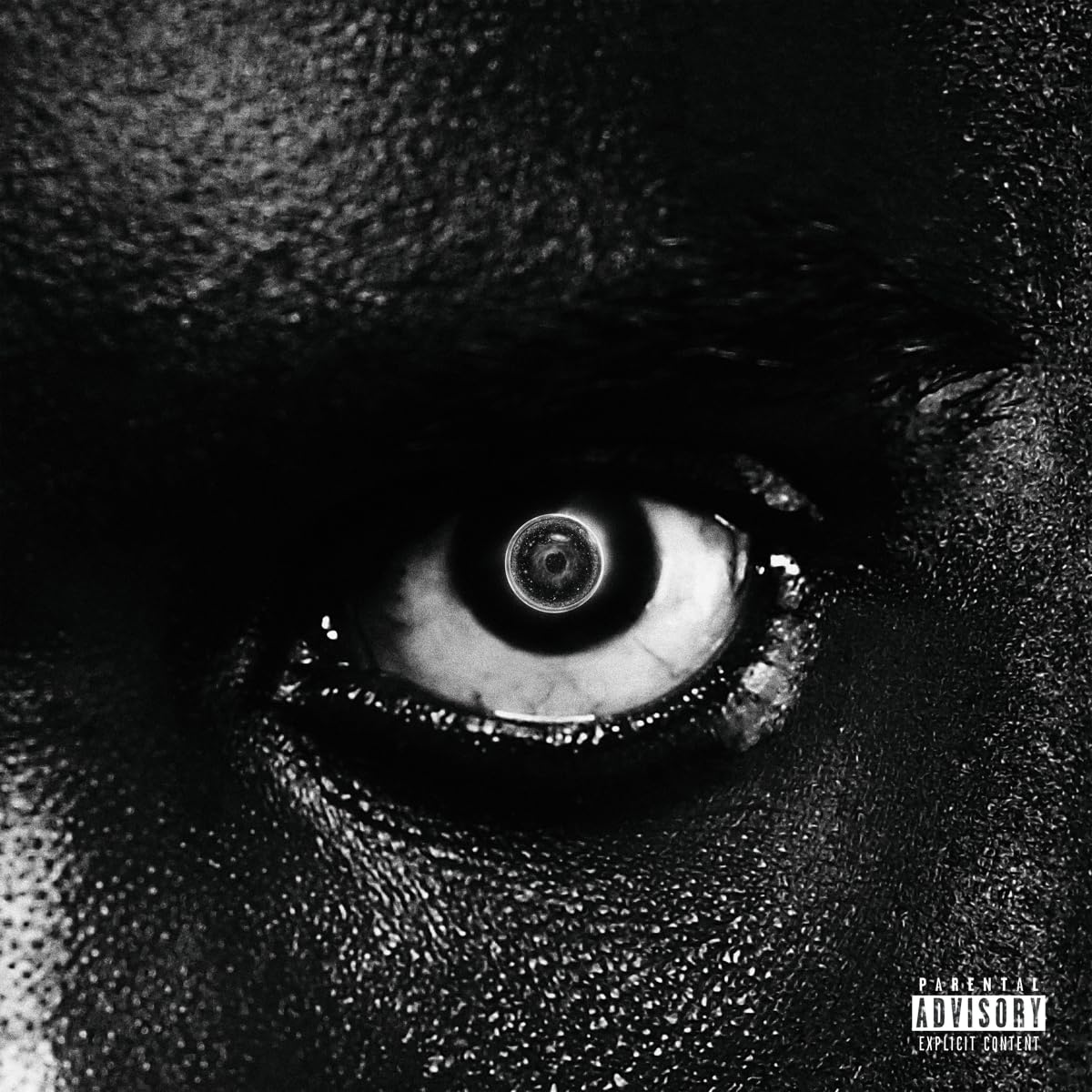 Damso - Lithopedion