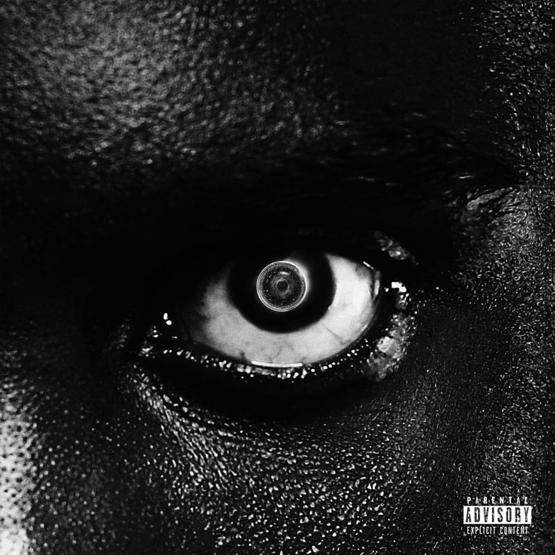 Damso - Lithopedion