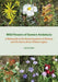 Wild Flowers of Eastern Andalucía