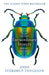 Extraordinary Insects