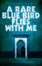 A Rare Blue Bird Flies with Me
