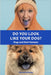 Do You Look Like Your Dog? The Book