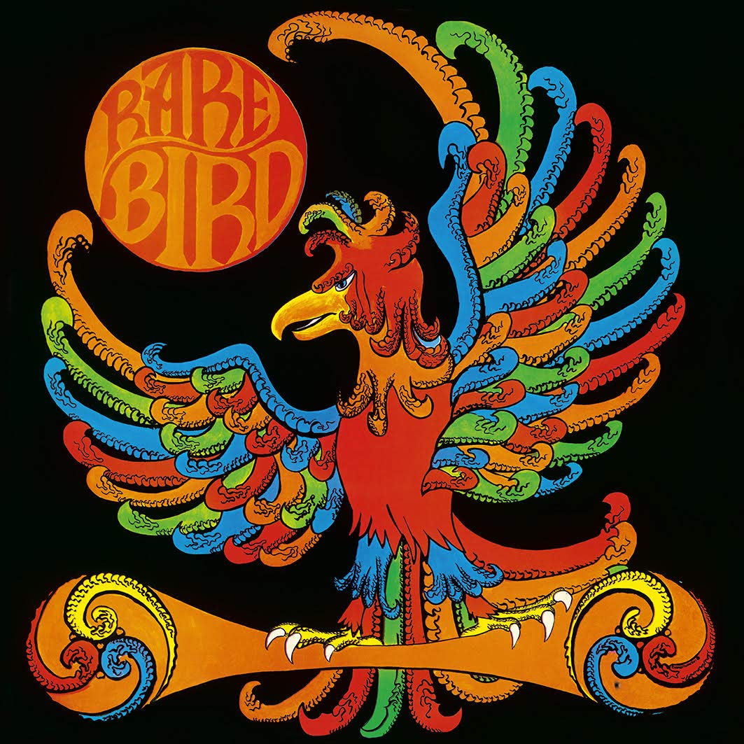 Rare Bird