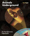 Animals Underground (My First Discovery Paperbacks / Torchlights