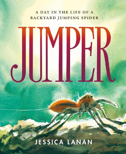 Jumper