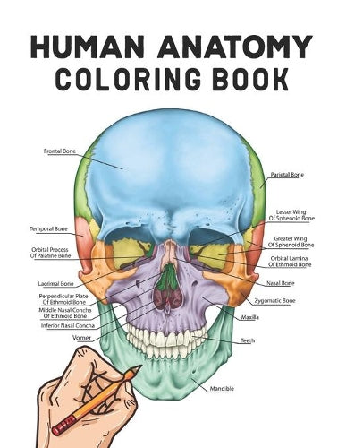 Human Anatomy Coloring Book