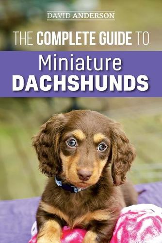 The Complete Guide to Miniature Dachshunds