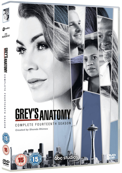 Grey's Anatomy: Complete Fourteenth Season