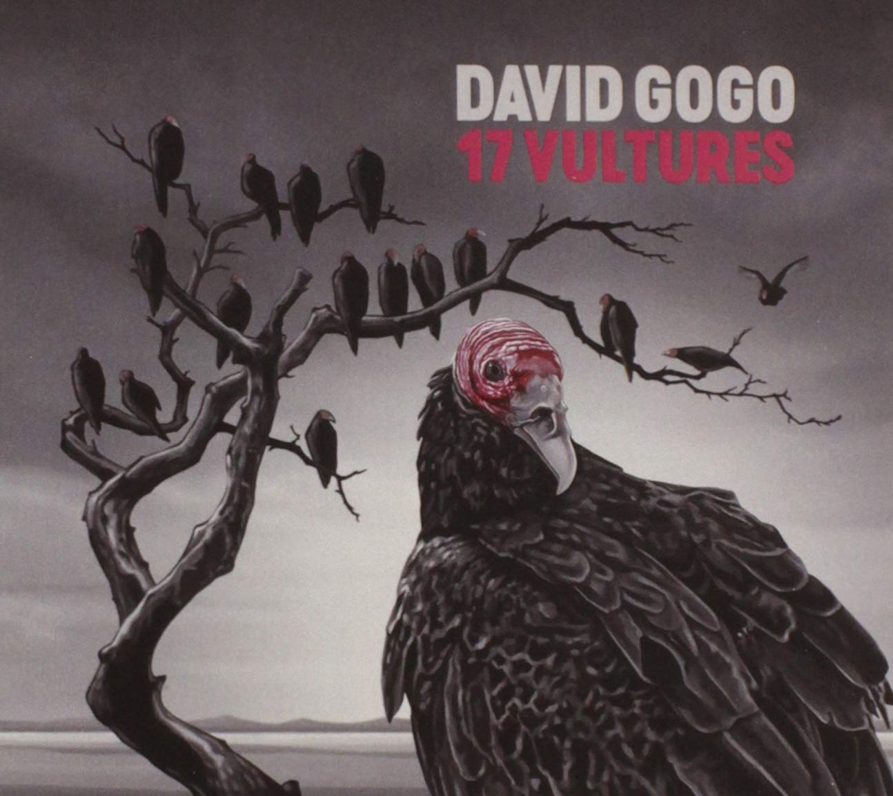 17 Vultures