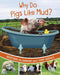 Why Do Pigs Like Mud?