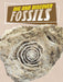 Dig and Discover Fossils (Rock Your World