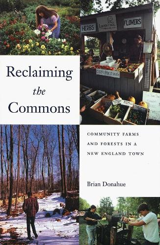 Reclaiming the Commons